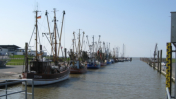 Kutterhafen